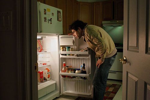 kithen fridge